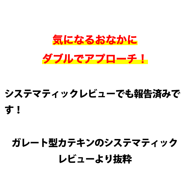 気になるおなかに
ダブルでアプローチ!
システマティックレビューでも報告済みで
す!
ガレート型カテキンのシステマティック
レビューより抜粋