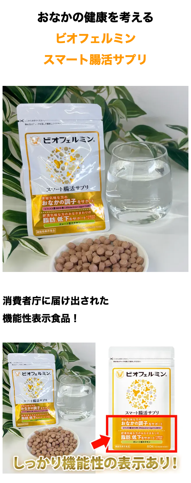 おなかの健康を考える
ビオフェルミン
スマート腸活サプリ