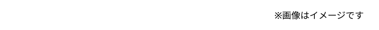 ※画像はイメージです