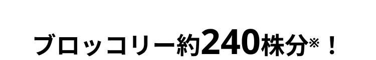 ブロッコリー約240株分※ !