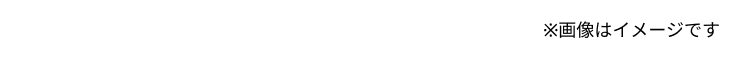 ※画像はイメージです