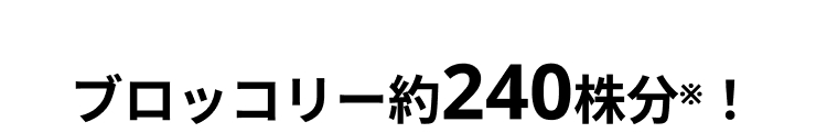 ブロッコリー約240株分※ !