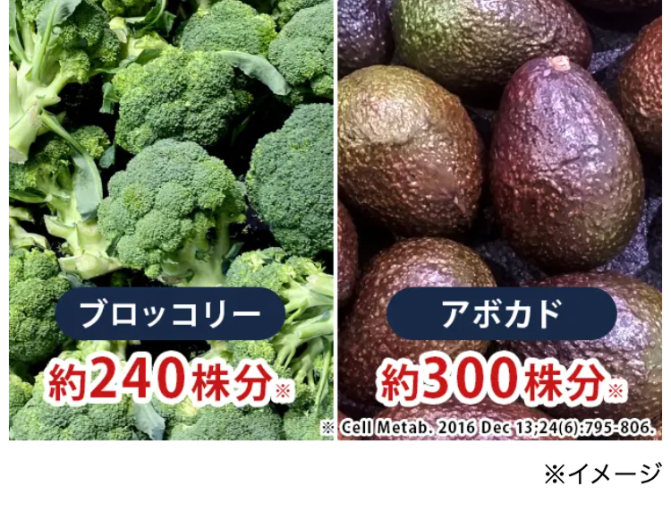 ブロッコリー
アボカド
約240分 約300株分
※ Cell Metab. 2016 Dec 13:24(6):795-806.
※イメージ