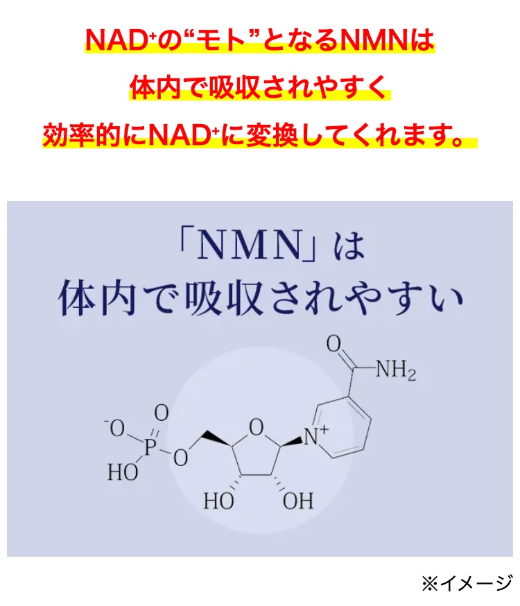 NAD+の “モト”となるNMNは
体内で吸収されやすく
効率的にNADに変換してくれます。
「NMN」は
体内で吸収されやすい
-NH2
0
■N+
P-O
HO
HO
OH
※イメージ