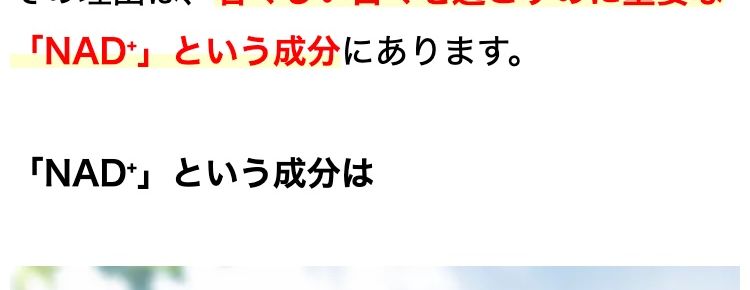 いまだに謎の多い次世代成分。
そもそもNMNとは?
ではなぜ、 世界中のセレブは
NMNを摂取するのでしょうか?
その理由は、若々しい日々を過ごすのに重要な
「NAD」 という成分にあります。
「NAD」 という成分は
いつまでも
若々しくいたい
元気な1日を送りたい
趣味も楽しみたい
そんな理想の毎日におすすめなのが
「NAD+」 なのです!