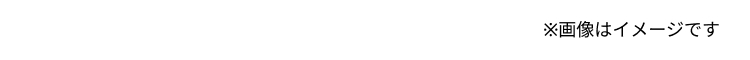 ※画像はイメージです