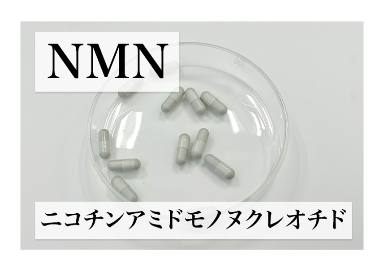 NMN
ニコチンアミドモノヌクレオチド