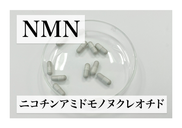 NMN
ニコチンアミドモノヌクレオチド