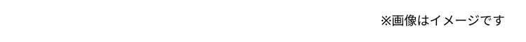 ※画像はイメージです